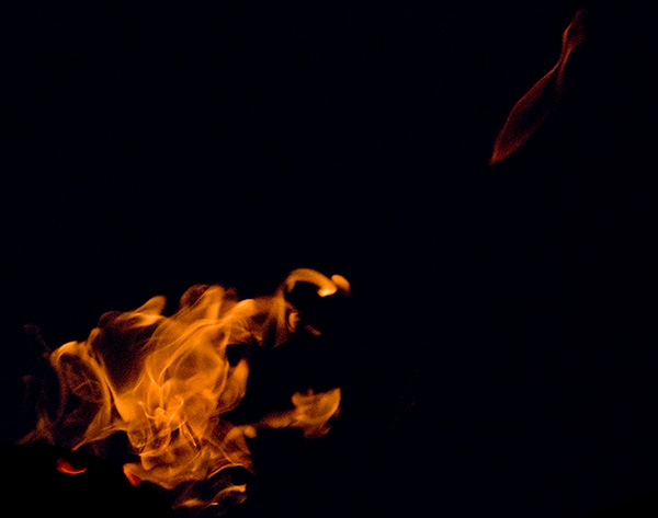 L'Oiseau de Feu